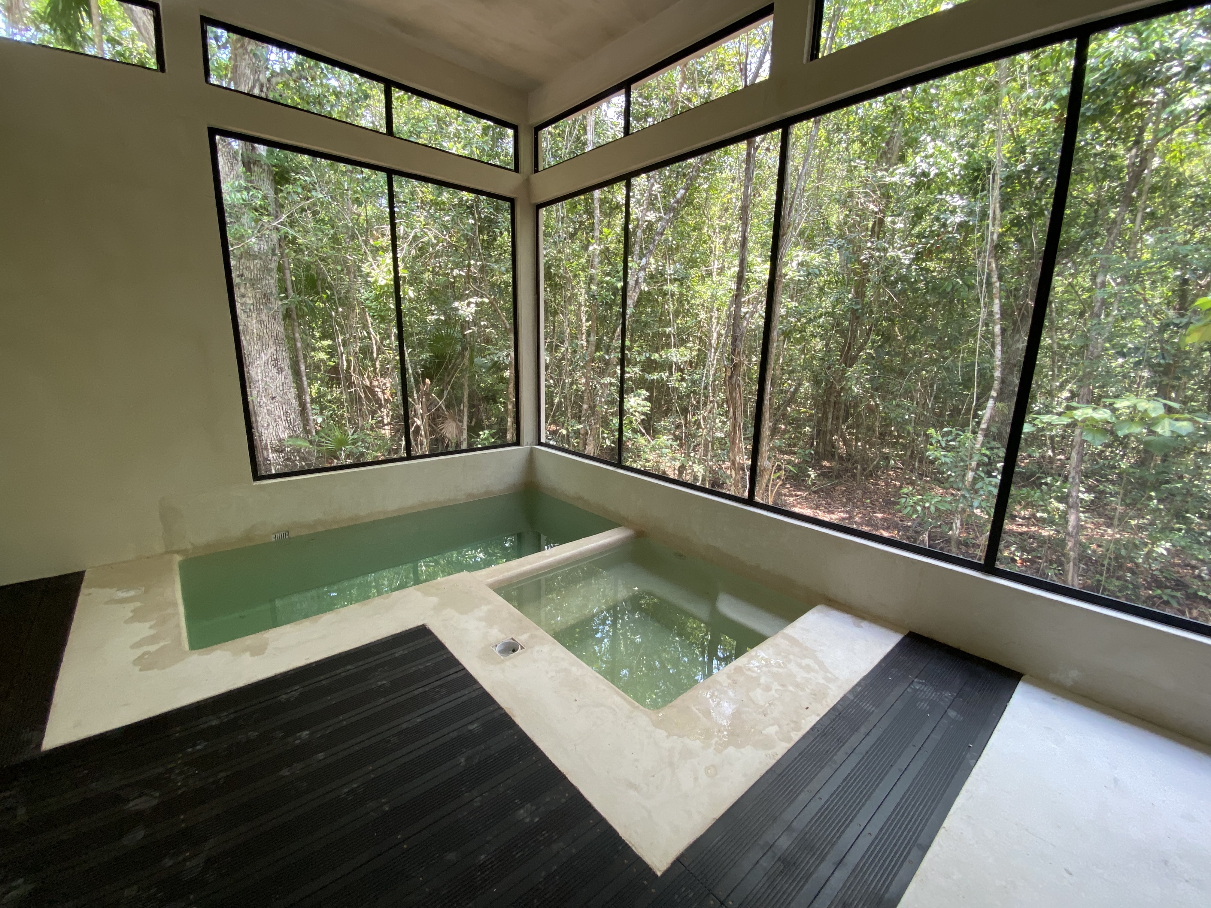 Alberca y jacuzzi interior