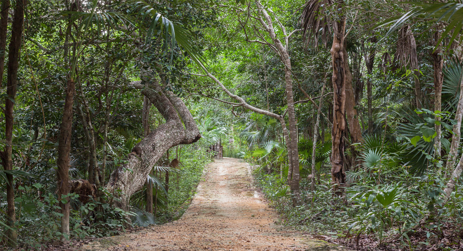 Chaktunche Rancho Ecolodge